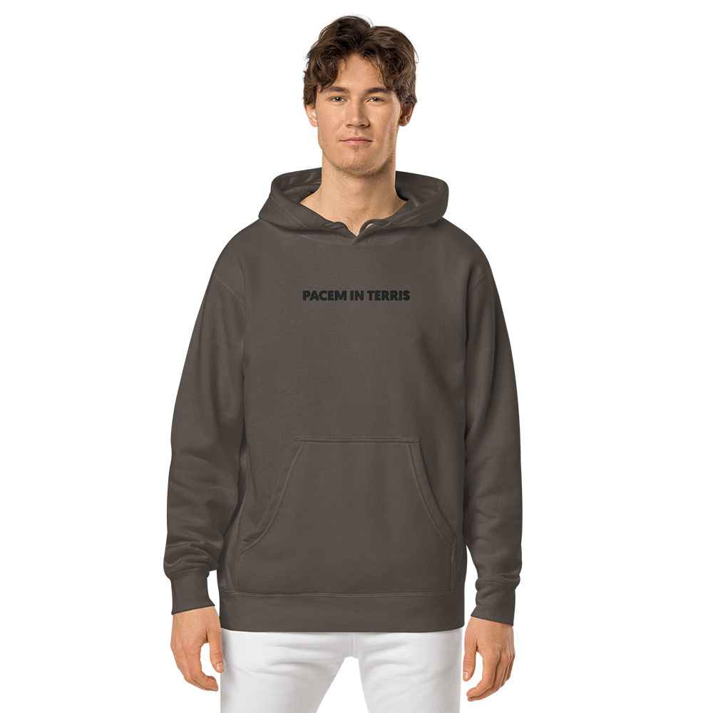 Front view of the hoodie on a male model.